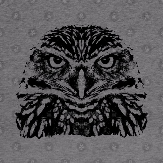 Little owl by R LANG GRAPHICS